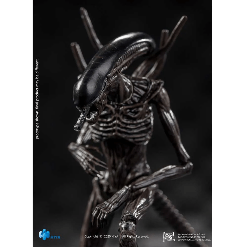 Action Figure Alien Covenant Xenomorph Px 1/18 Hiya - limahobbies